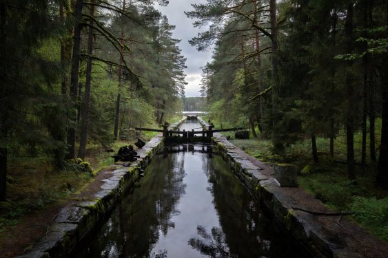 Narrow forested channel connecting freshwater lakes in Dalsland Sweden